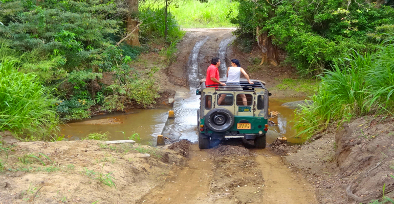  Jeep Safari  